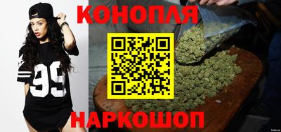 ешки Ставрополь