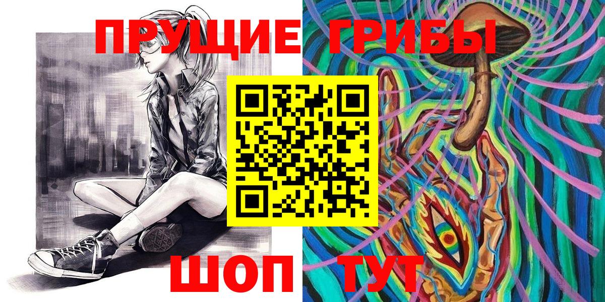 Галлюциногенные грибы Psilocybe Нижний Новгород